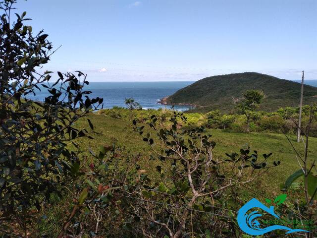 Venda em Praia do Rosa - Imbituba